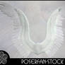 Angel Wings 002