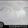 Angel Wings 003