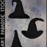 Wizard/Witch Hats 002