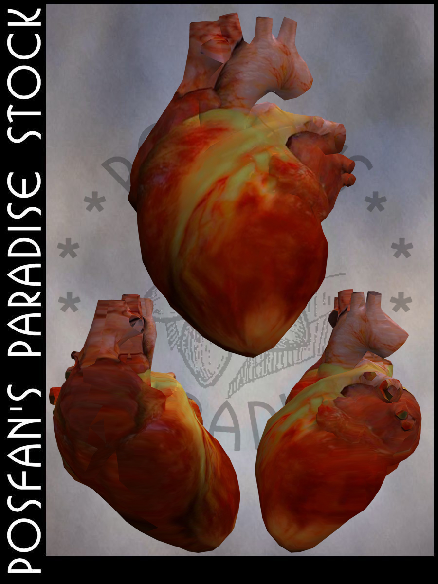 Human Heart by poserfan-stock on DeviantArt