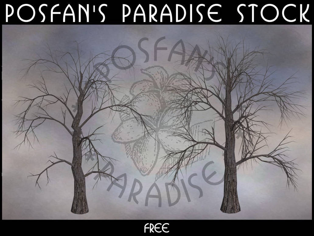 Dead Trees 004 by poserfan-stock on DeviantArt