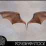 Bat Wings Nude