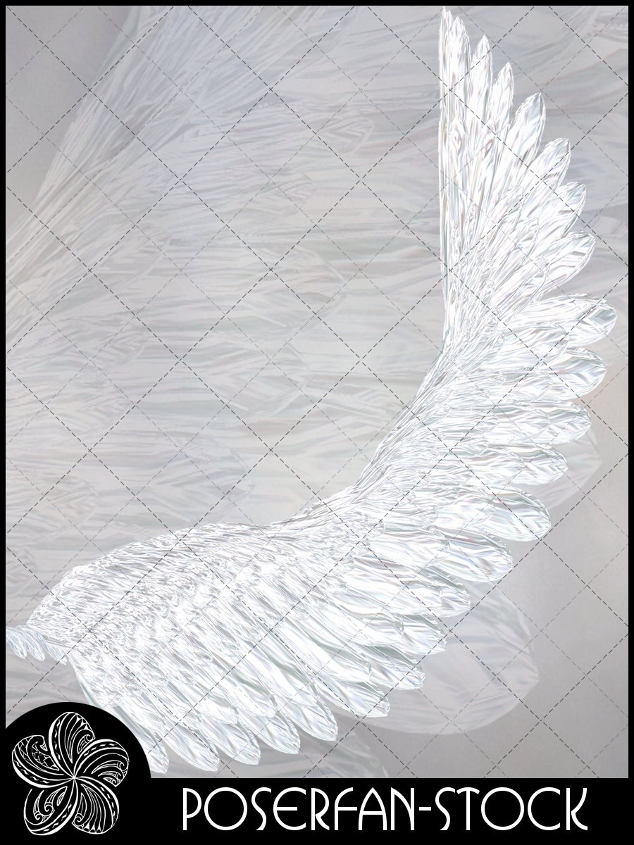 Crystal Angel Wings 001