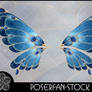 Butterfly Jewel Wings 001