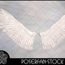 Dove Wings