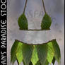 Fairy Leaf Outfit