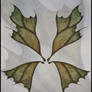 Leafy Wings 002