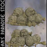 Bones Pile 001