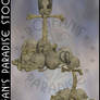 Bones Marker