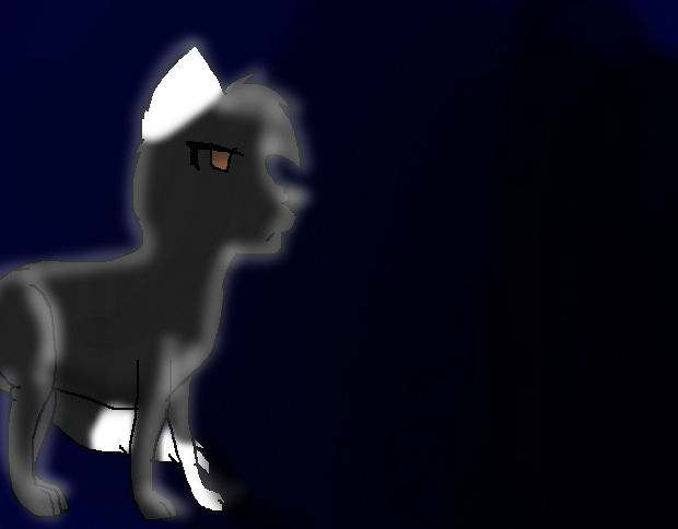 I am the night by kinwolf107 on DeviantArt