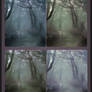 Background Pack-Forest