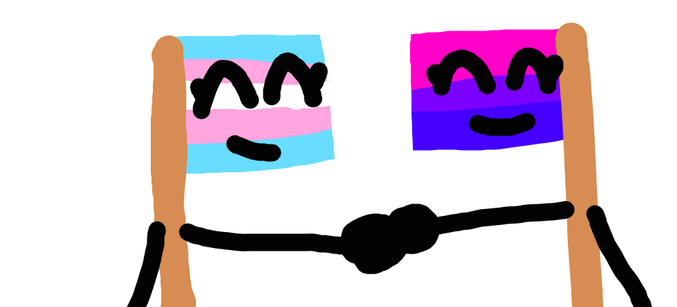 Bi Flag and Trans Flag