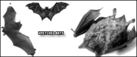 Wretched Bats