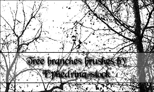 Tree branches brushes