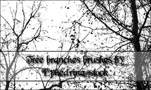 Tree branches brushes