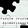Puzzle brushes