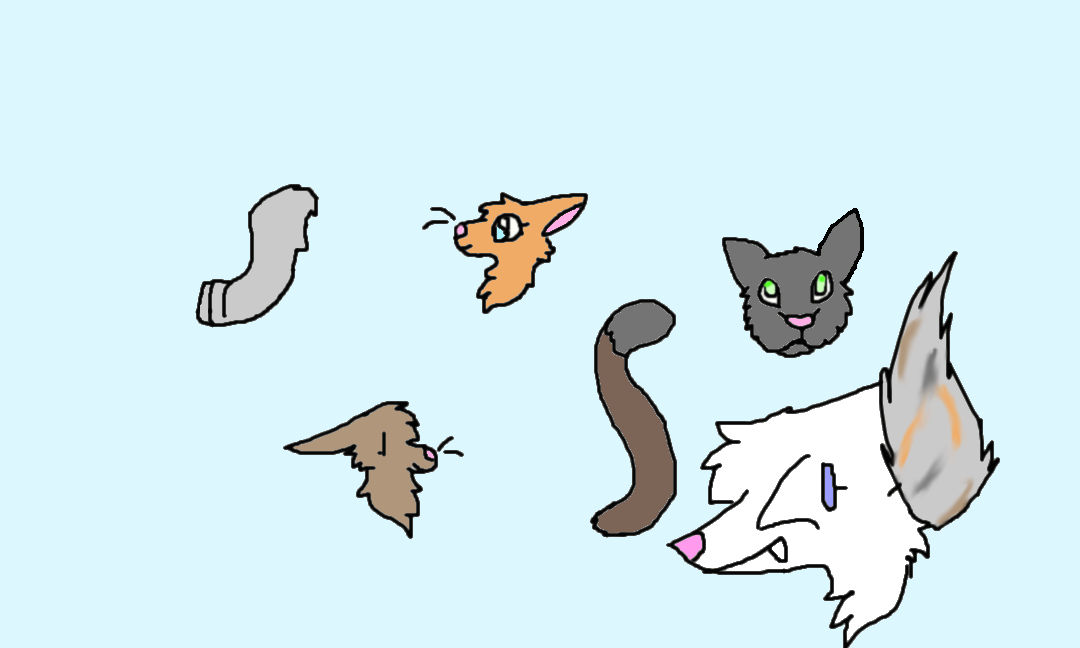 cat test by buddythefluffyAJ on DeviantArt