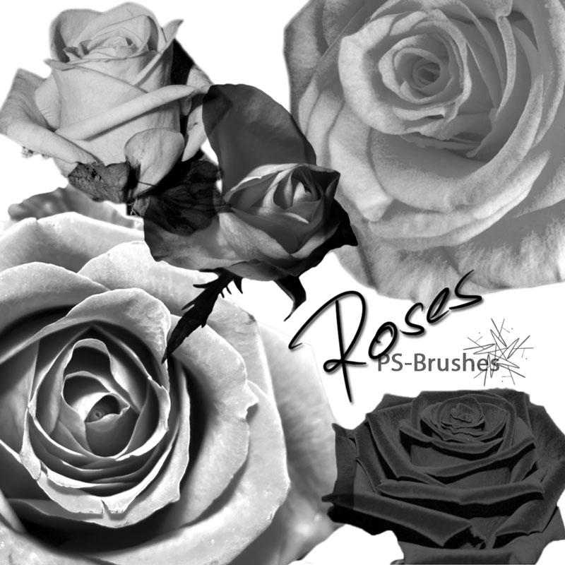 Rose Brushes by SarinaMandala on DeviantArt
