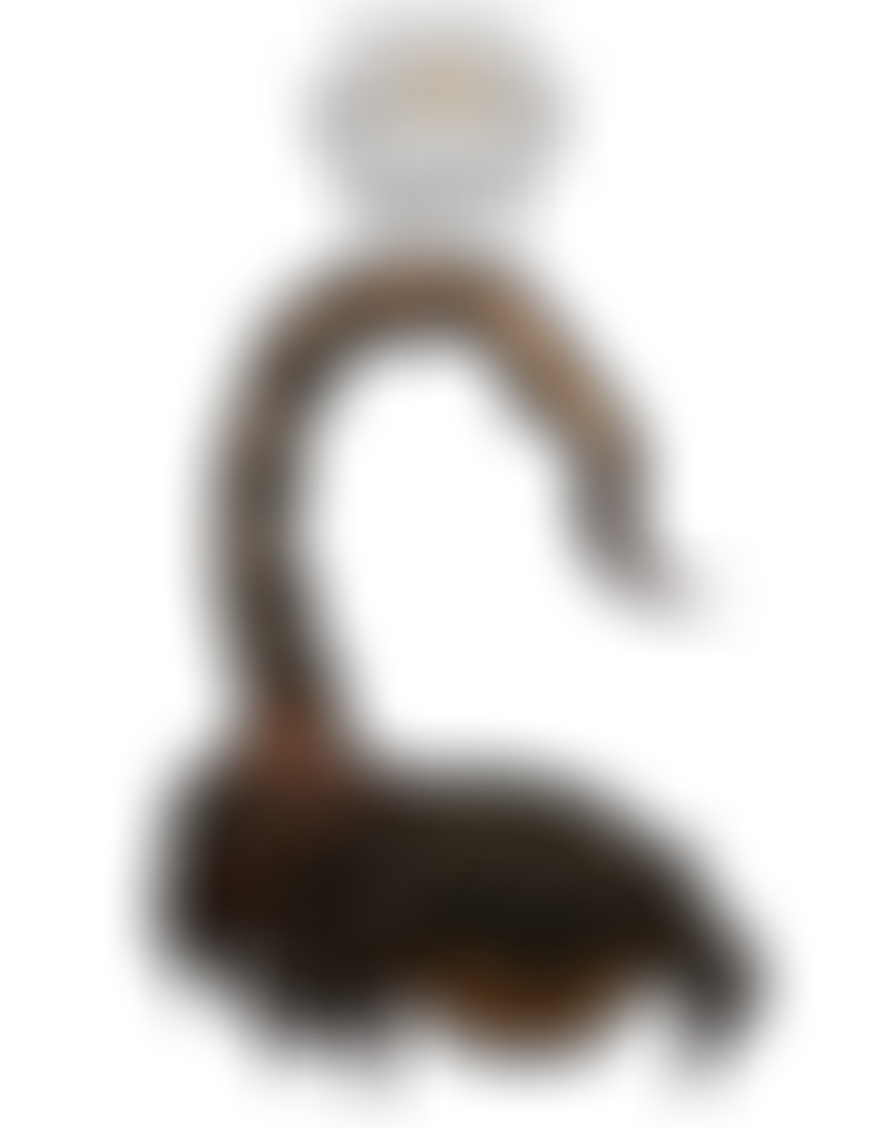 BlastEnded Skrewt by Maxdemon6 on DeviantArt