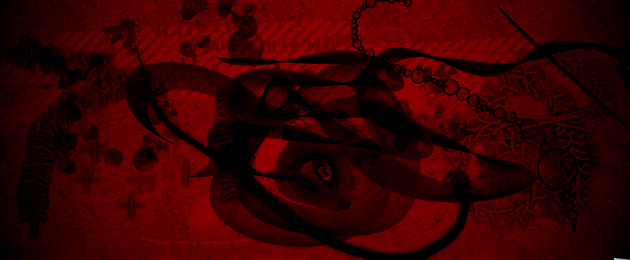 The Rose by diyq on DeviantArt