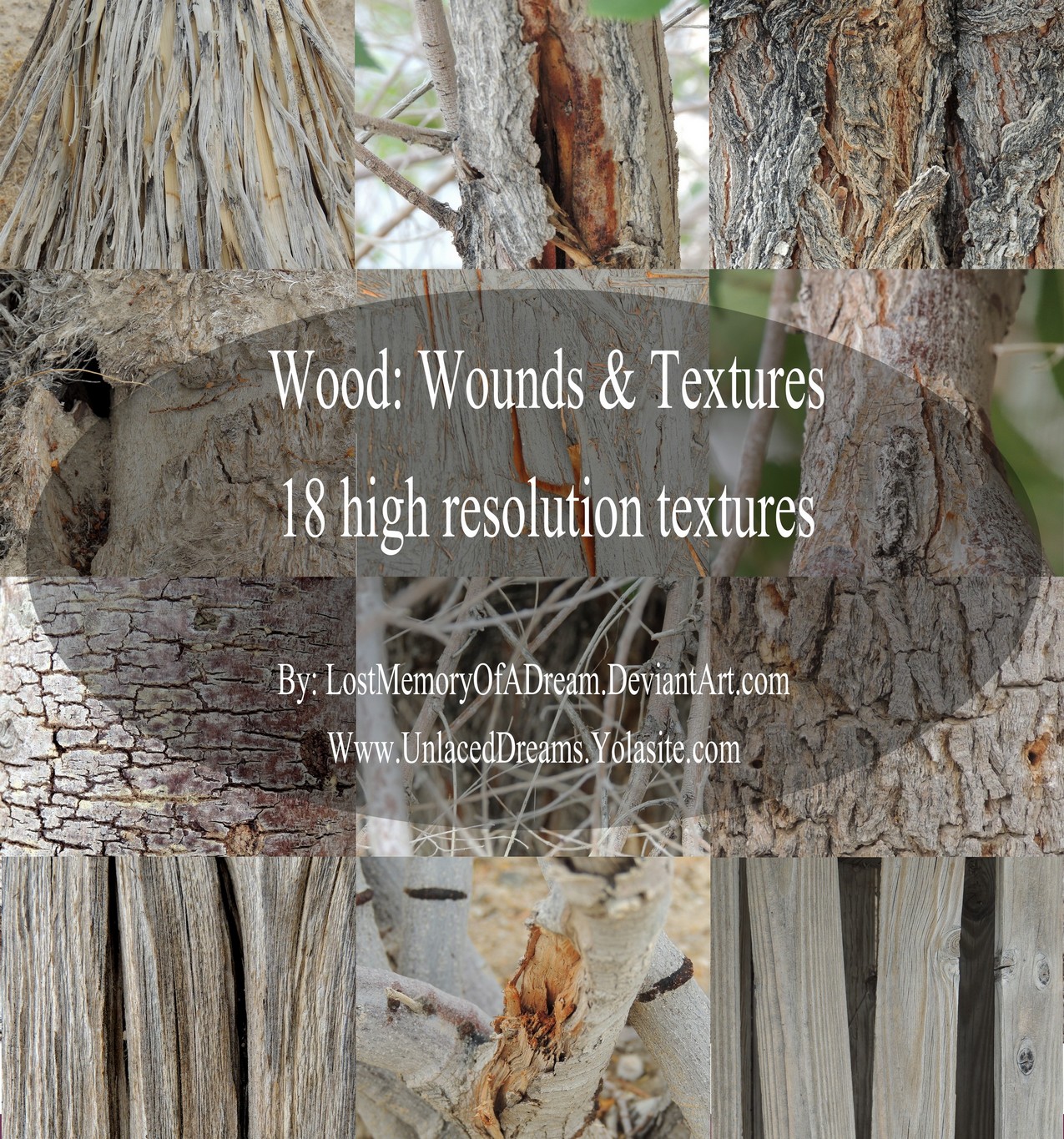 Wood: Wounds and Textures