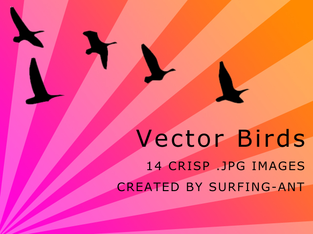 Vector Birds