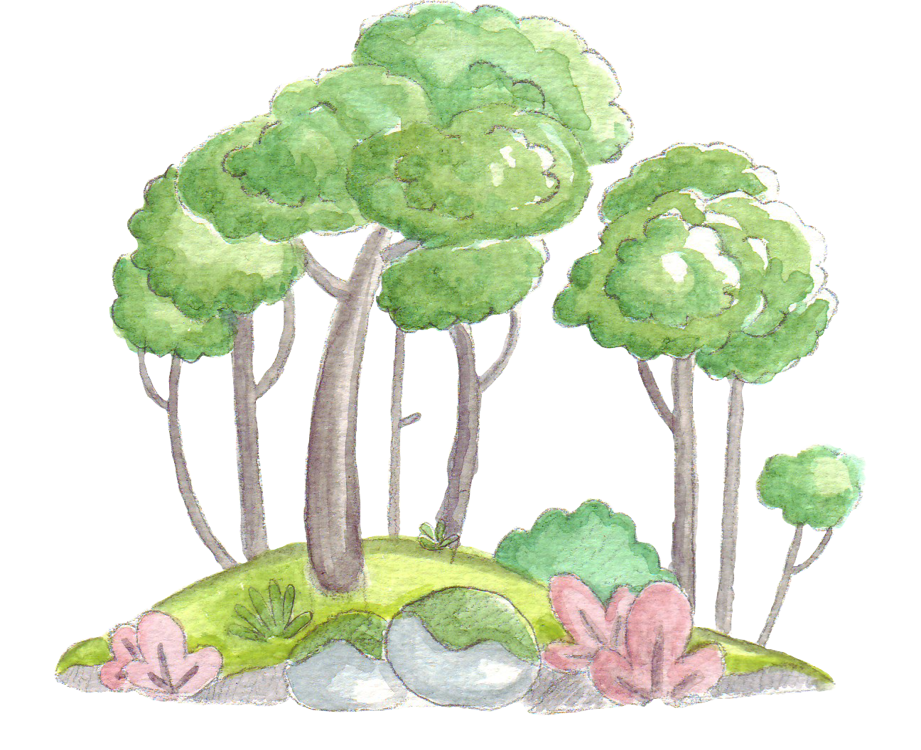 forest trees 01 by PayaArt on DeviantArt