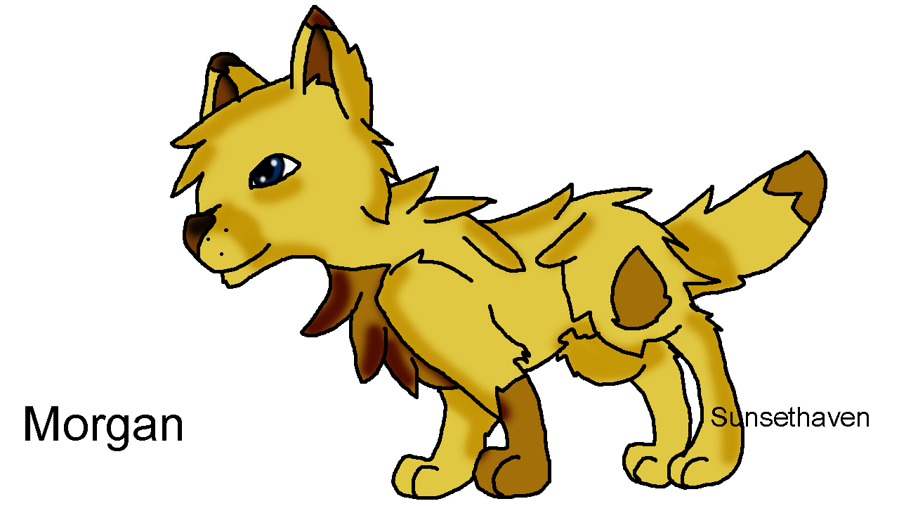 Morgan ref by Sunsethaven on DeviantArt