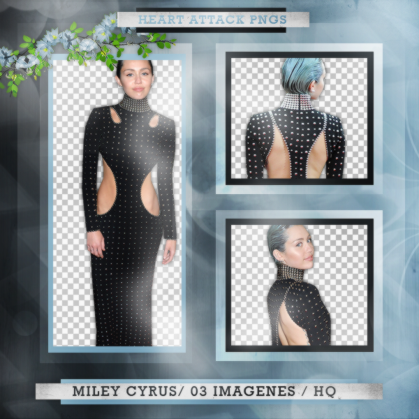 +Photopack png de Miley Cyrus.