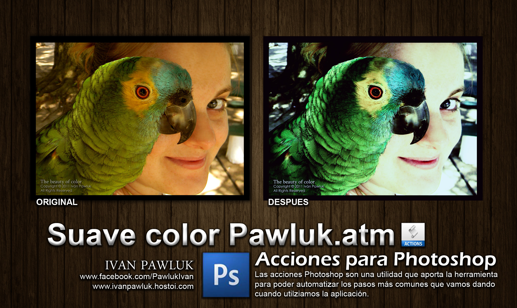 Suave color Pawluk