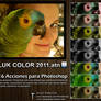 16 Acciones- PAWLUK COLOR 2011