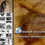 Pawluk textures
