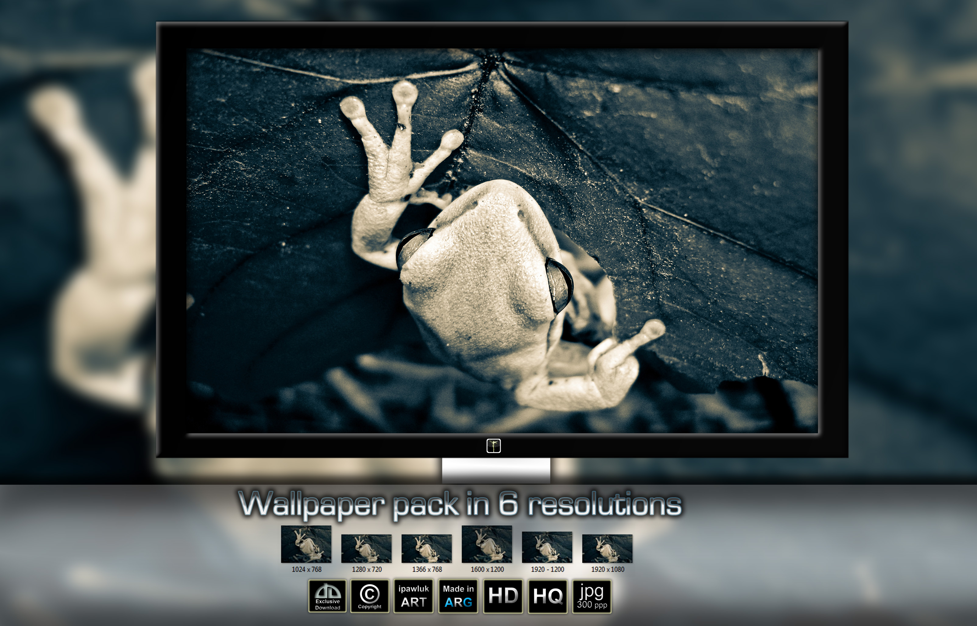 Wallpaper albino frog