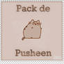 Pack Gatito Pusheen