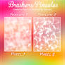 Brushers/Pinceles