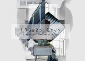 PNG#25 Grey