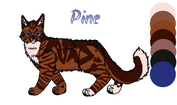 Pine Ref Sheet by EvilSnail1 on DeviantArt