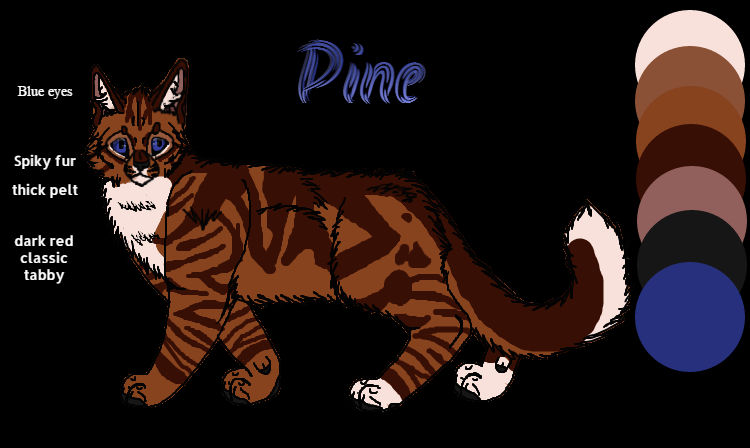 Pine Ref Sheet by EvilSnail1 on DeviantArt