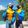Macaw Brothers At The Beach - Animated 2