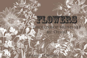 Flowers brush set