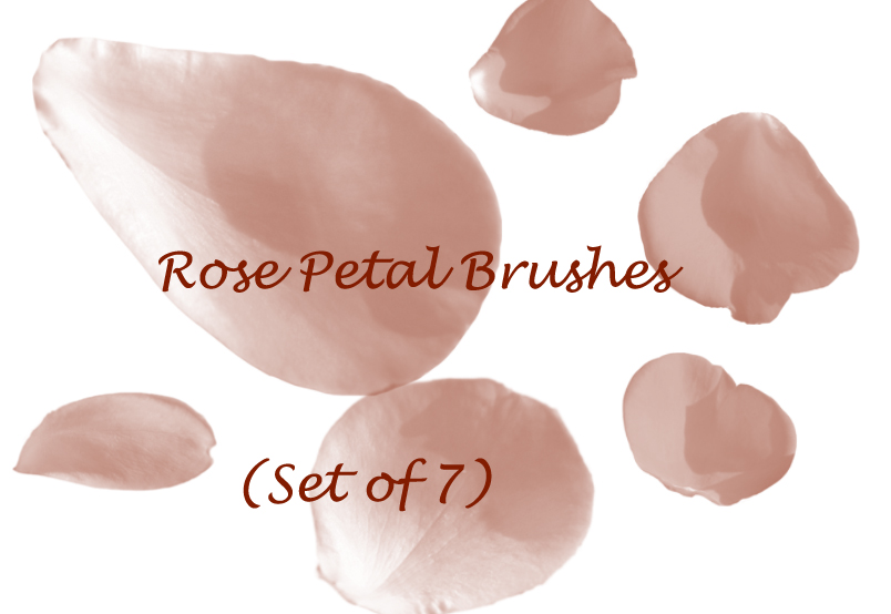 Rose Petal Brushes