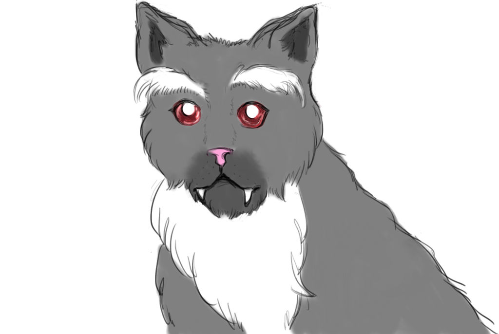 Cat by LordKarotthofen on DeviantArt
