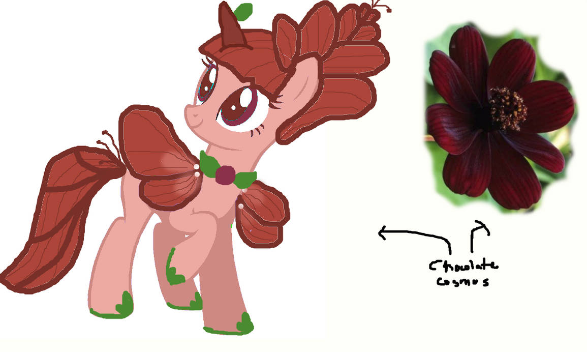 Chocolate Cosmos by Dinkypinky9 on DeviantArt