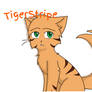 OC: TigerStripe