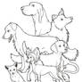 Dogs! colouring page