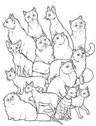 Cats colouring page