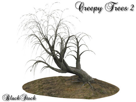 Creepy Trees 2