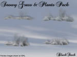 Snowy Grass and Plants Pack by BlackStock