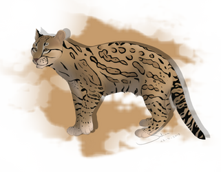 Ocelot