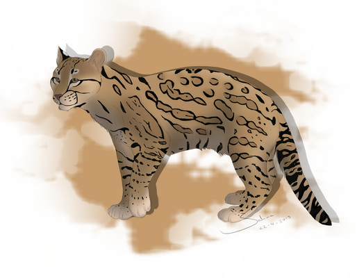 Ocelot